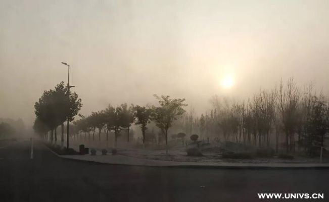 在梦境的迷雾中重逢，梦见同学聚会但我像陌生人