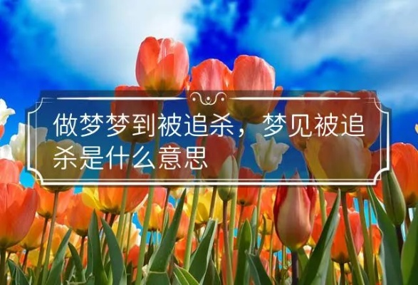 梦境解析，为何会梦到被人追杀却有人救了我？