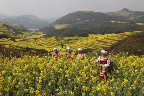 周公解梦，梦卧花海，寓意何为？