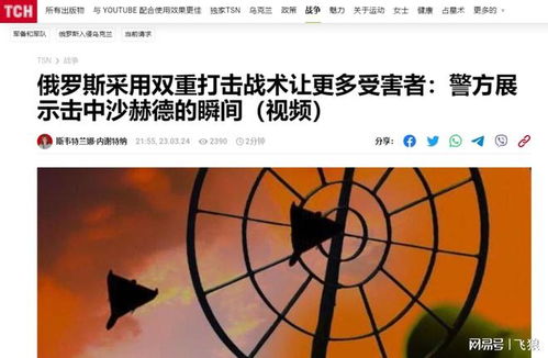 晚上梦到蟑螂，潜意识中的警示与启示