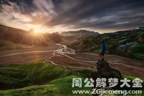梦境探秘，梦见骆驼山上跑的深层含义与心理解析