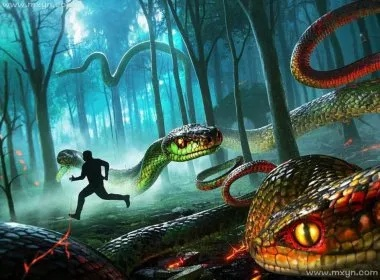 猛梦见蛇大蛇袭击，梦境的深层解析与心理暗示