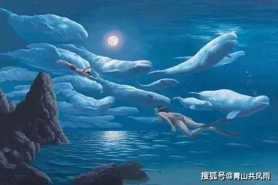 梦境与现实的交织，一场关于爱情与孤独的解梦之旅