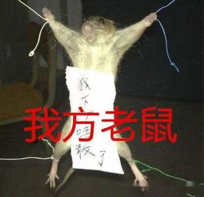 梦境的启示，梦见自己打死一只老鼠的象征意义与心理解析