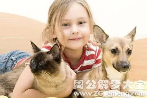 做梦梦见养了猫和狗，探索梦境背后的深层含义