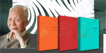梦见钱包丢了，解读梦境中的焦虑与自我审视