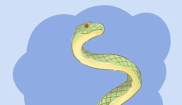 孕妇梦到大蛇，寓意深远，探索梦境背后的奥秘