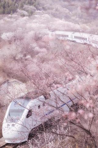 梦境启示，梦到把别人的钱丢了，意味着什么？