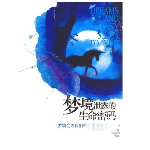 梦境启示，面对梦见自己生病只剩半年生命的深层解析与心灵觉醒