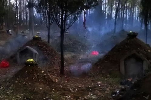 梦见挖死人的坟，探索潜意识中的隐秘与启示