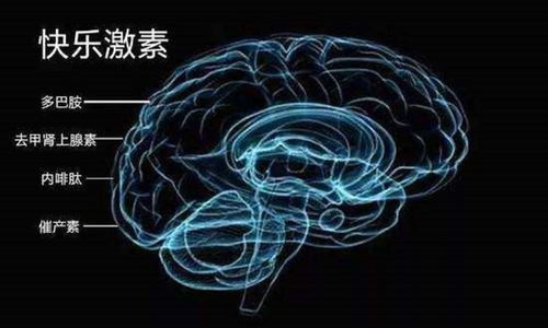 每晚做梦见鬼，深度解析梦境背后的心理与生理机制
