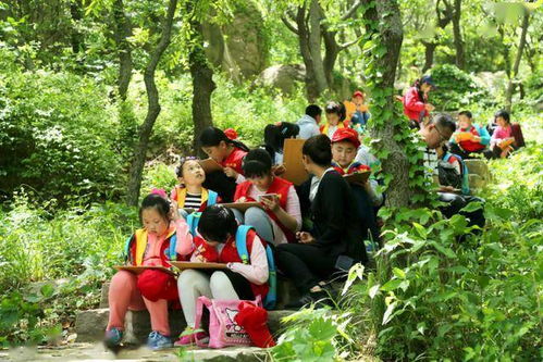 梦境探秘，河流中的捉鱼之旅