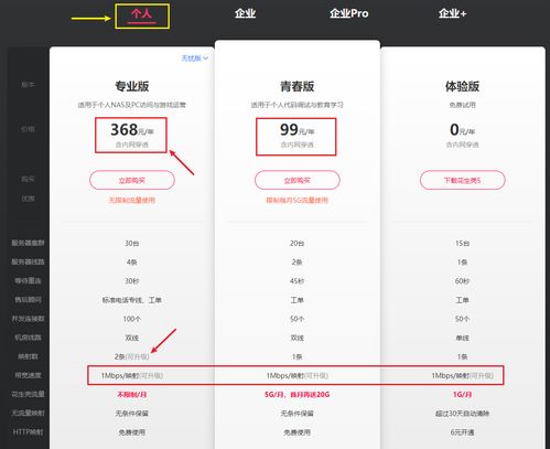 梦到自己捡了一件好看的衣服，穿上后更显美丽——梦境背后的深层含义与解析