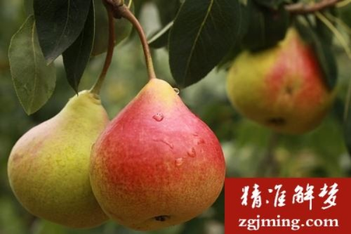 梦见过世的人手里提着梨，寓意与解析