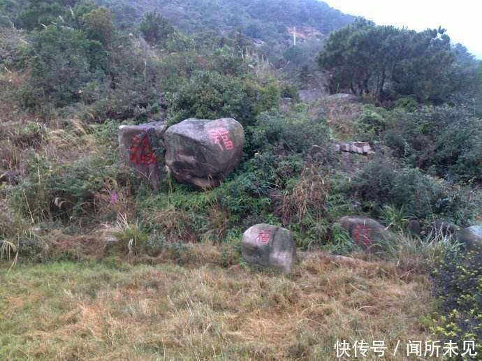 梦见孔雀的羽毛，揭示内心深处的美丽与隐秘