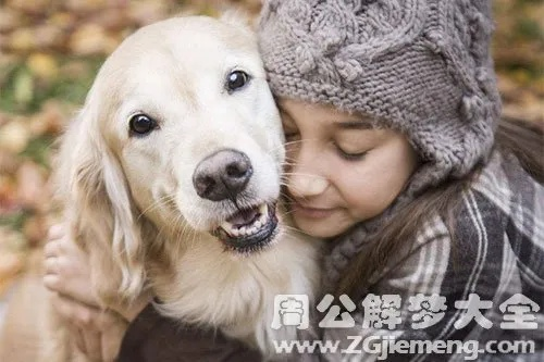 梦见狗养交配，梦境背后的深层含义与解析