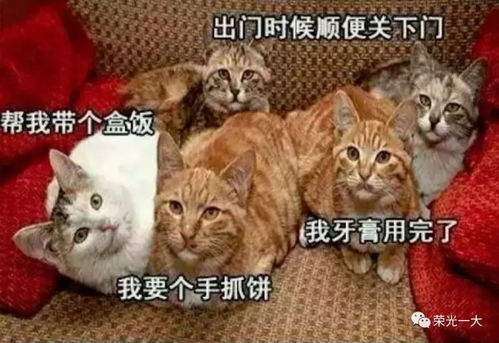 梦到棺材了吓醒了，梦到棺材是好是坏？解析梦境中的深层含义