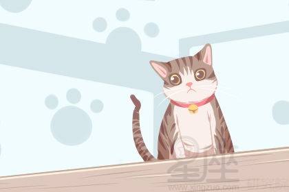 梦见自己生狗猫，梦境背后的深层含义与解析