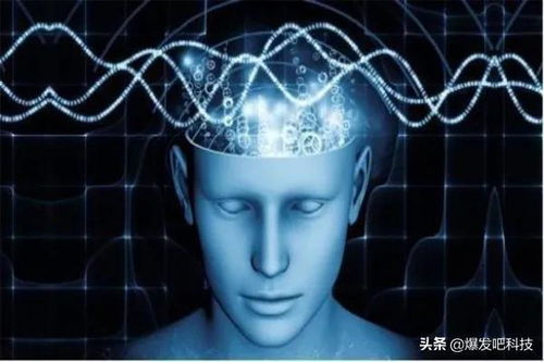 探索梦境的深层含义，解析梦到杀人尸解的潜在心理暗示