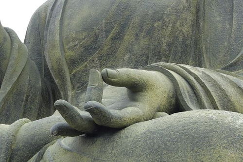 梦见吃馒头，探寻梦境背后的深层含义
