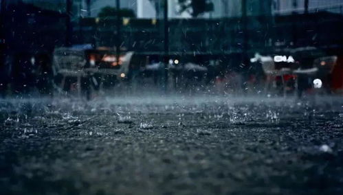 梦见下大雨远处开始洪水，梦境背后的深层含义与解析