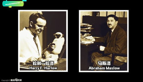 梦见在世的妈妈去世又复活，探寻梦境背后的深层含义与心理解析