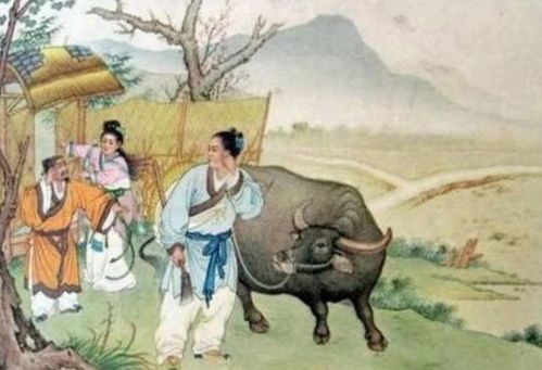 梦见被牛追，解读梦境背后的深层含义