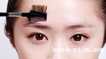 梦境解析，梦见眉毛掉光的意义与启示