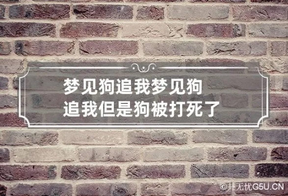 梦见把狗打死了，梦境背后的深层含义与解析