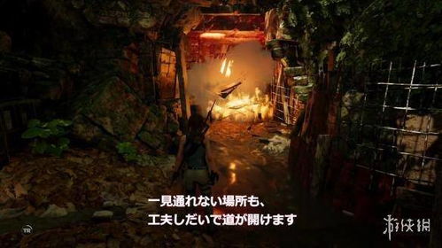 地震与蛇影，梦境中的双重挑战与内心探索