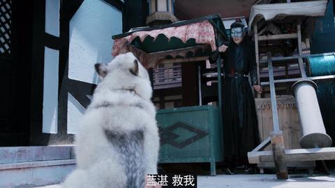 昨晚梦见被狗咬到手，梦境背后的深层含义与心理解析