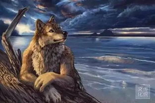 追逐与逃遁，解析梦境中的羊群与狼