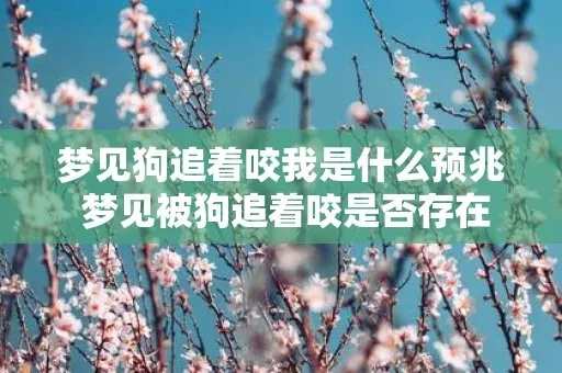解析梦境，为何最近频繁梦到被狗追着咬？