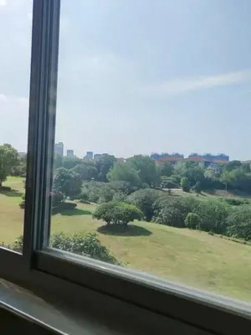梦见窗外刮很大的风进来，梦境中的风暴与内心世界的启示