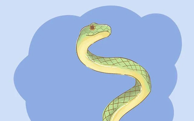 梦见别人打大蛇蛇的头没有了，探索梦境背后的深层含义
