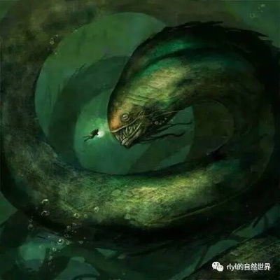 梦境解析，黑蛇化人——探索潜意识深处的神秘讯息