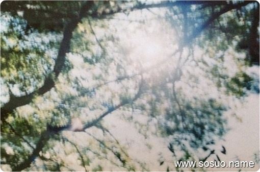 梦见水塘干了抓了好多鱼，探索梦境背后的深层含义与启示