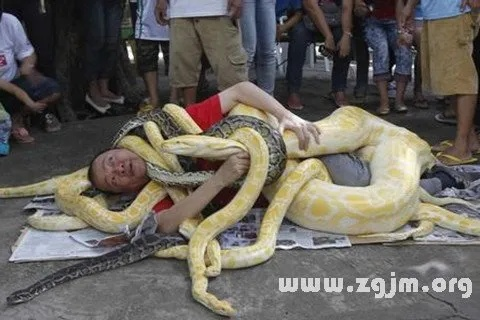 梦境解析，为何梦见蛇在房间后被丢弃？
