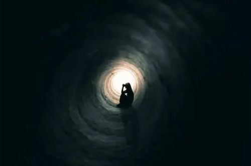 梦境解析，我昨晚睡觉做了一个梦，梦到了好多蛇咬我——探寻潜意识的隐秘信息