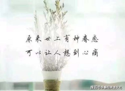 分手后梦境中的思念，如何以信息传达心底的渴望与释怀