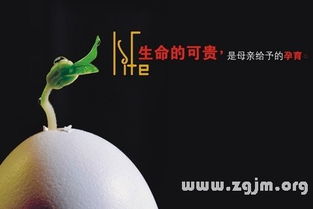 梦见两个老公一模一样的预兆，探索梦境背后的深层含义与心理解析