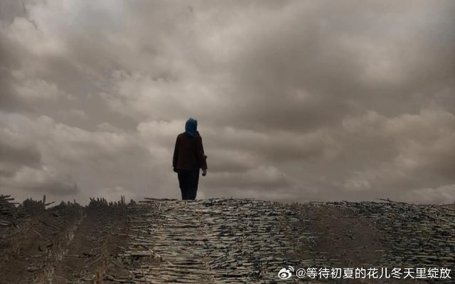 老是梦见我己故的妈妈，梦境与现实的交织，情感与记忆的延续