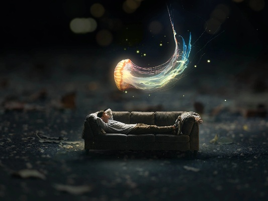 梦境中的执着，追逐失落的鞋子