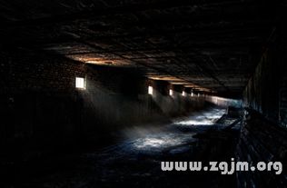 梦见一条蛇在诅咒我，解读梦境中的隐秘信息