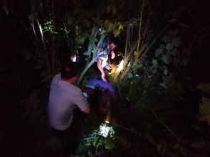 梦境中的惊险一刻，梦见自己娃差点掉下悬崖却被我一把抓住了