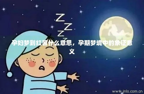 梦境中的新生命，探索怀孕梦境的象征意义与内心渴望