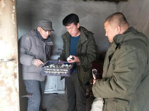 梦境里的丰收，解析梦见很多鸡蛋并捡了多堆的深层含义
