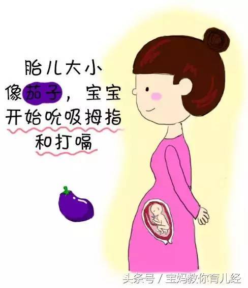 梦见自己怀孕肚子已经好大，探索梦境中的孕育与成长象征