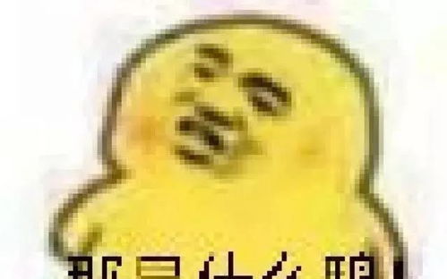 梦见猫吃了死老鼠然后死了，解读梦境背后的深层含义