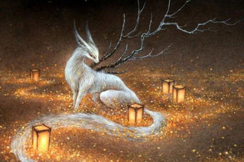 梦境解析，梦中鱼与蛇的奥秘